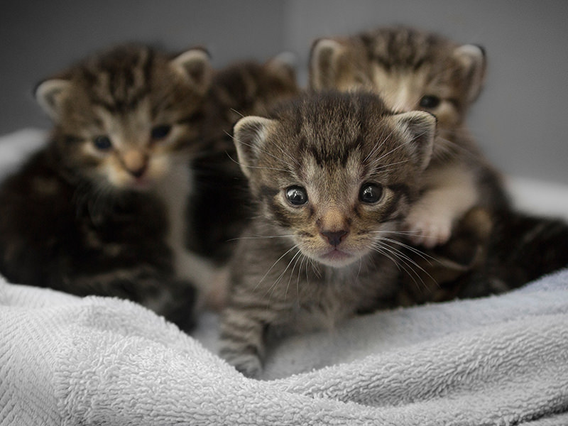 care-unsplash3